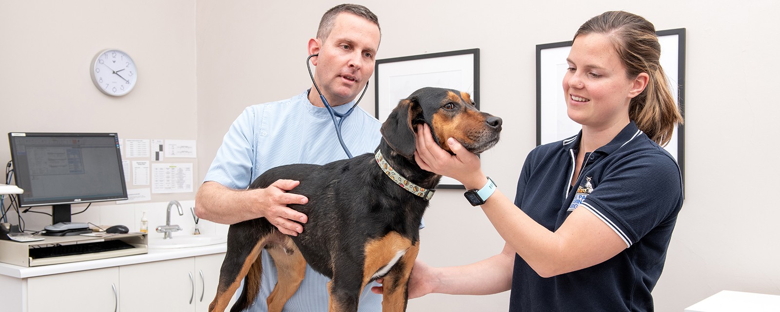 DSC 4538 FocusFillWzE2MDAsNjQwLCJ5IiwwXQ use this